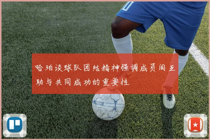 哈珀谈球队团结精神强调成员间互助与共同成功的重要性