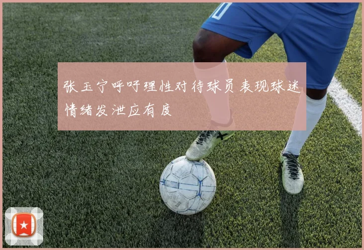张玉宁呼吁理性对待球员表现球迷情绪发泄应有度