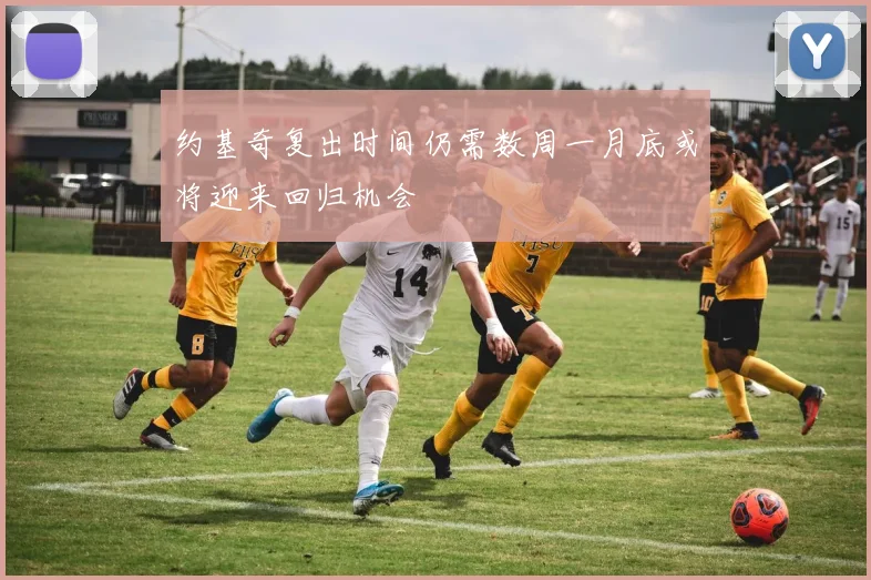 约基奇复出时间仍需数周一月底或将迎来回归机会